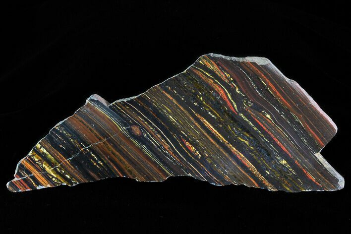 Polished Tiger Iron Stromatolite - ( Billion Years) #75842
